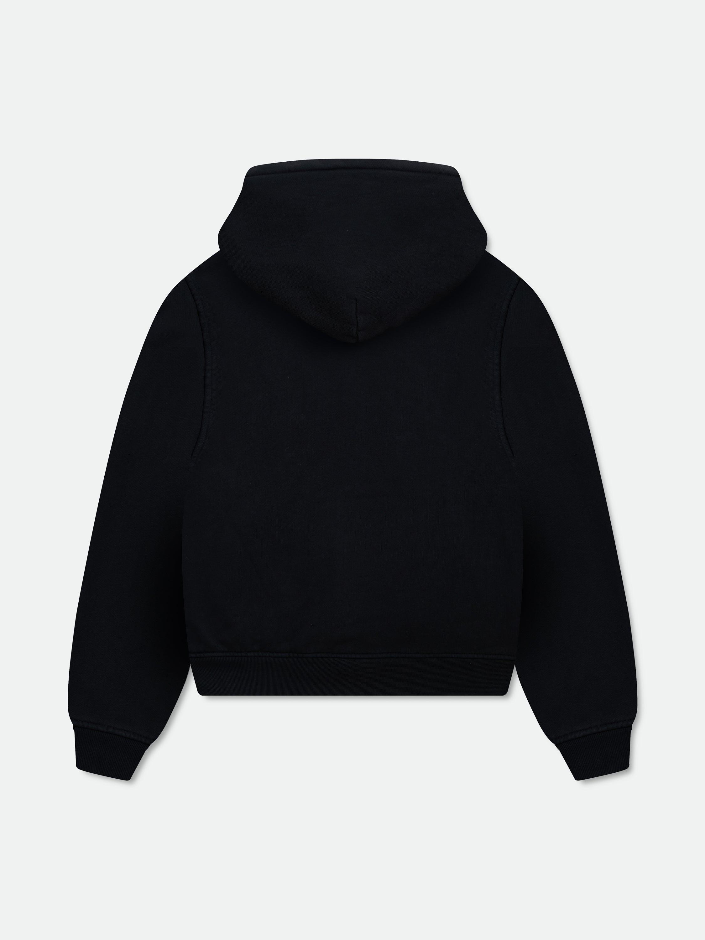 COLLEGIATE FALCONS HOODIE